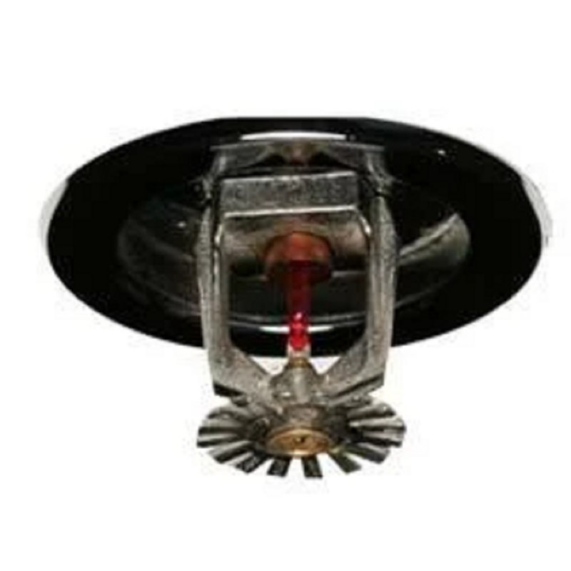 Installation Of Automatic Sprinkler System Services