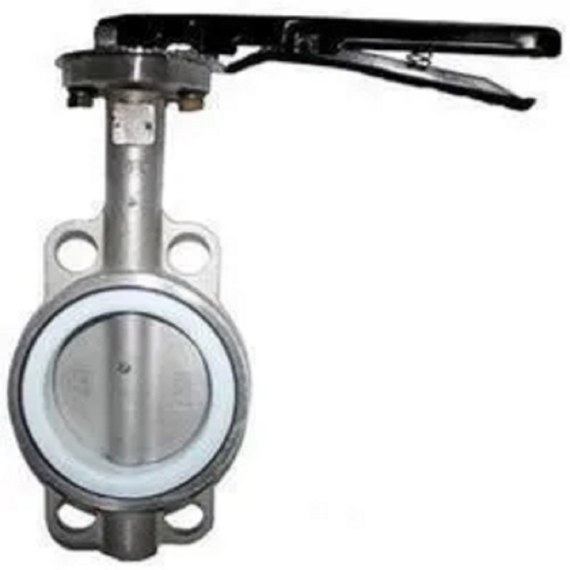 Intervalve Make Butterfly Valve