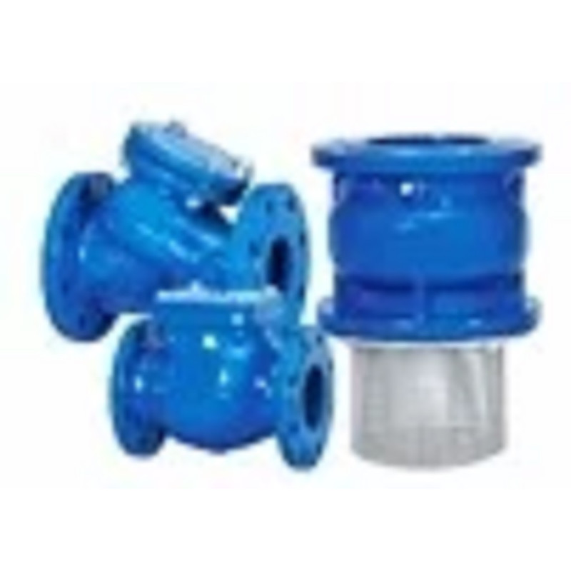 Check Valve