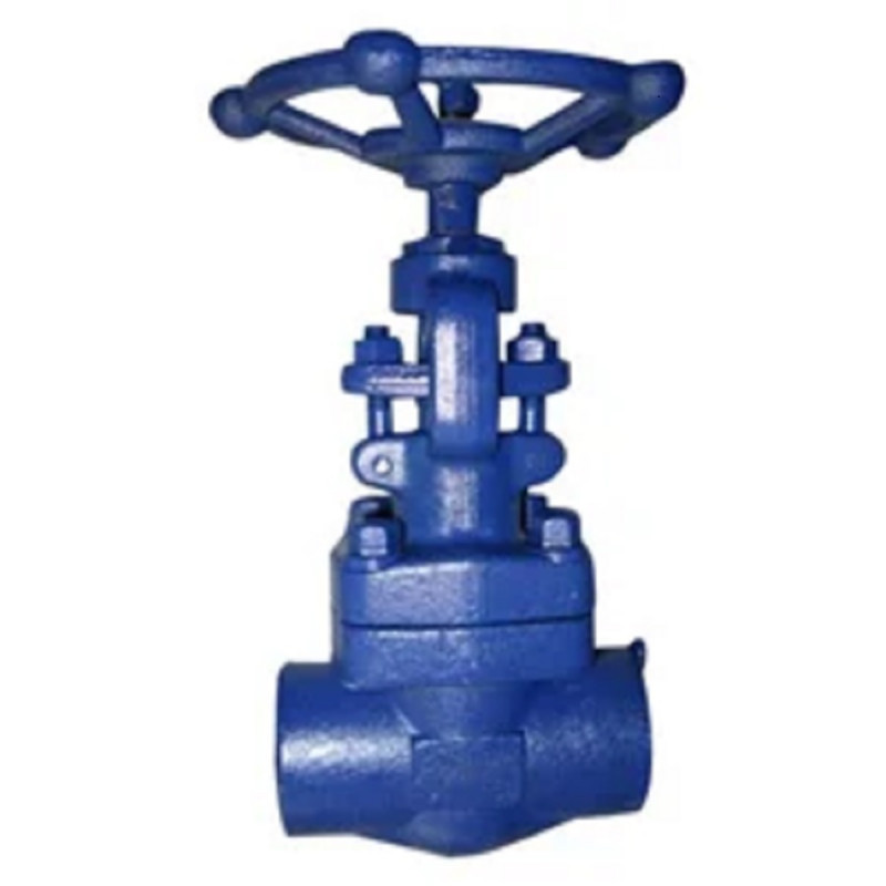 Forged Globe Valve