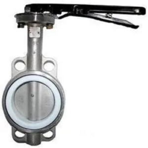 Intervalve Make Butterfly Valve