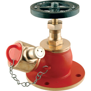 Single Headed Gun Metal Fire Hydrant Valve