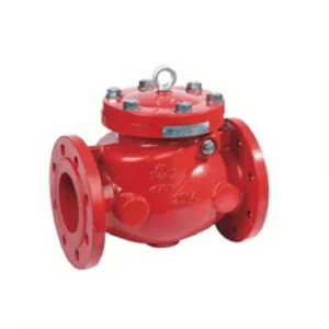 Check Valve