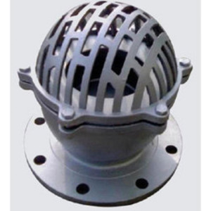 Cast Iron Foot Valve