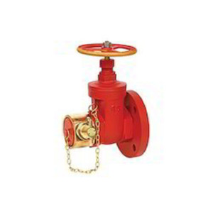 Hydrant Valve