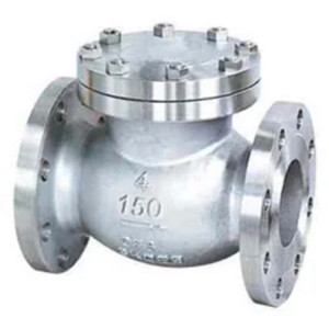 Cast Check Valve