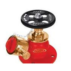 Fire Hydrant Landing Valve