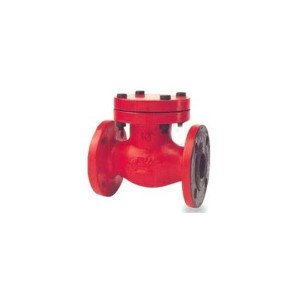 Non Return Valve  PN-25