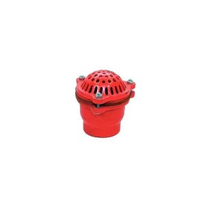 Foot Valve PN-25