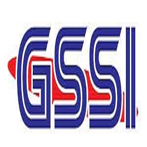G SAFETY SOLUTIONS INC