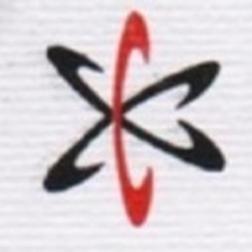 CAPRICORN SECURITY SOLUTIONS