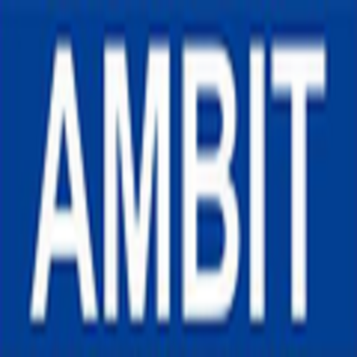AMBIT ELECTRONIC SECURITY SEVRICES