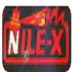 NILESH ENTERPRISES