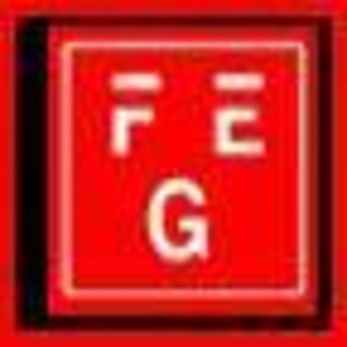 FIRE GUARD ENGINEERS