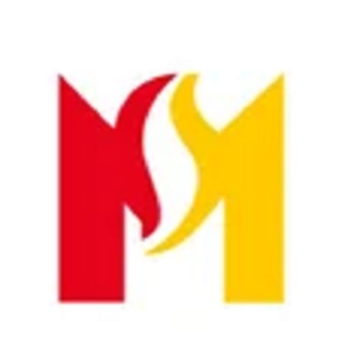 M S SAFEZLINKS