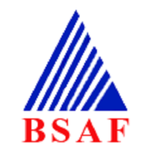 BSA FIRE SAFE SYSTEMS