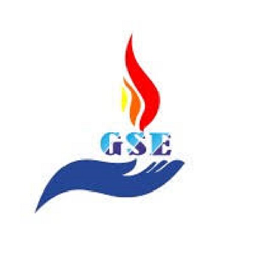 GLOBAL SAFETY ENTERPRISES
