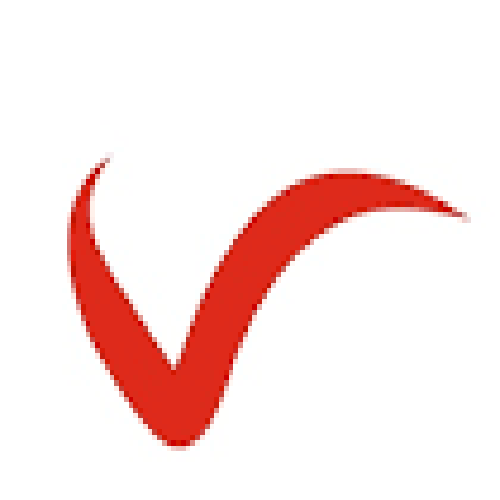 VIDHAULIYA FIRE INDUSTRIES