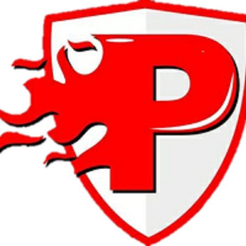 PRATHI FIRE & SAFETY SERVICES