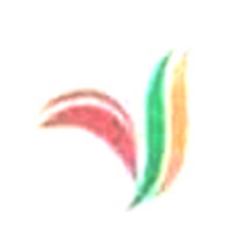 VSS Fire Safety Systems